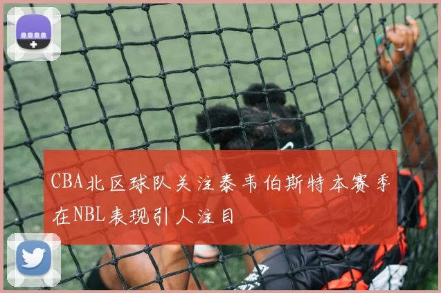 CBA北区球队关注泰韦伯斯特本赛季在NBL表现引人注目