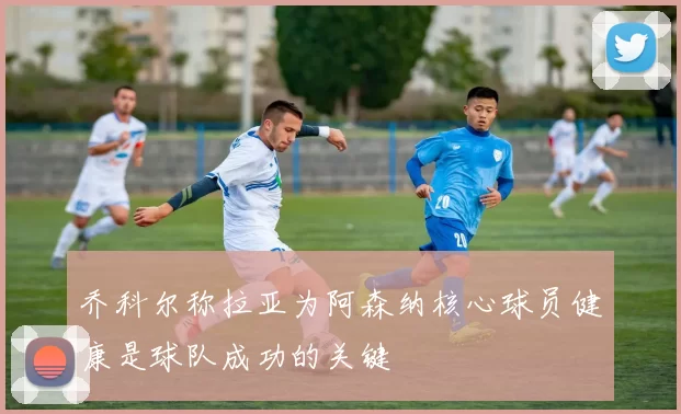 乔科尔称拉亚为阿森纳核心球员健康是球队成功的关键